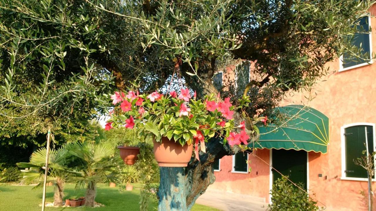 Bed and Breakfast Il Farfasole Vigonovo  Exterior foto