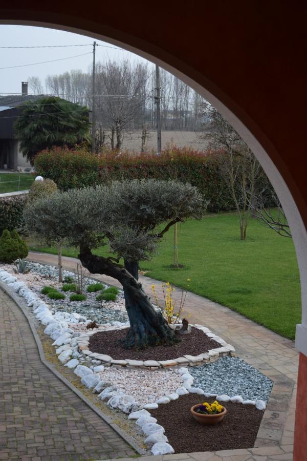 Bed and Breakfast Il Farfasole Vigonovo  Exterior foto